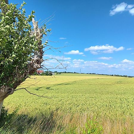 Appartamento Roter Milan Kaisitz Esterno foto