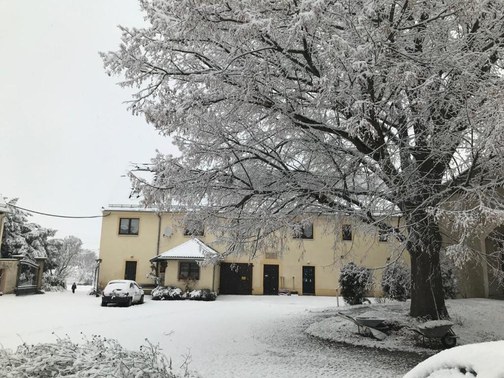 Appartamento Roter Milan Kaisitz Esterno foto