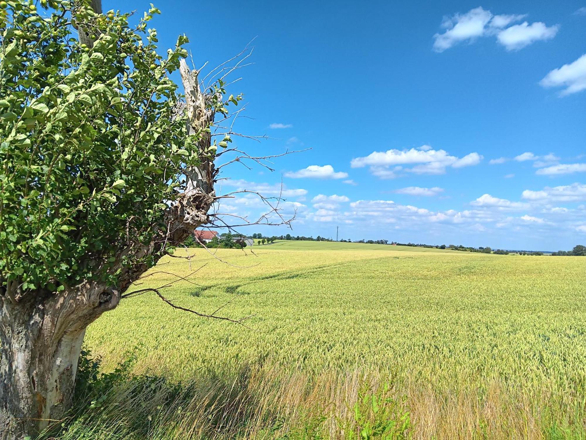 Appartamento Roter Milan Kaisitz Esterno foto